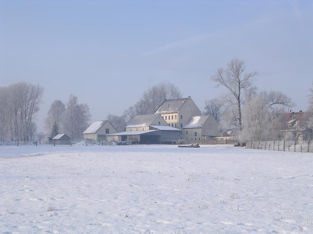 Bertelemuehle Lägenhet Günzburg Exteriör bild